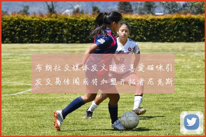 布朗社交媒体发文暗示喜爱猫咪引发交易传闻或将加盟开拓者尼克斯雷霆湖人