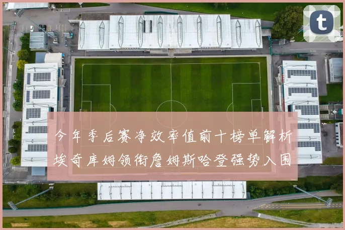 今年季后赛净效率值前十榜单解析埃奇库姆领衔詹姆斯哈登强势入围